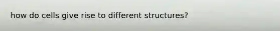 how do cells give rise to different structures?