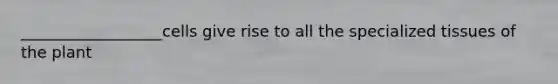 __________________cells give rise to all the specialized tissues of the plant