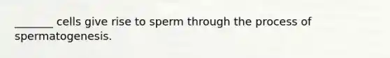 _______ cells give rise to sperm through the process of spermatogenesis.