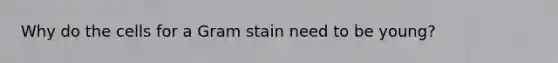 Why do the cells for a Gram stain need to be young?