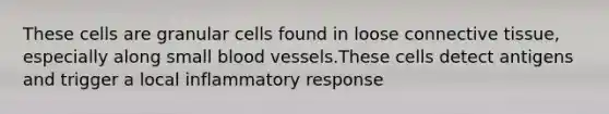 These cells are granular cells found in loose connective tissue, especially along small blood vessels.These cells detect antigens and trigger a local inflammatory response