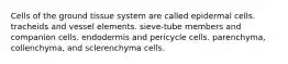 Cells of the ground tissue system are called epidermal cells. tracheids and vessel elements. sieve-tube members and companion cells. endodermis and pericycle cells. parenchyma, collenchyma, and sclerenchyma cells.