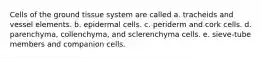 Cells of the ground tissue system are called a. tracheids and vessel elements. b. epidermal cells. c. periderm and cork cells. d. parenchyma, collenchyma, and sclerenchyma cells. e. sieve-tube members and companion cells.