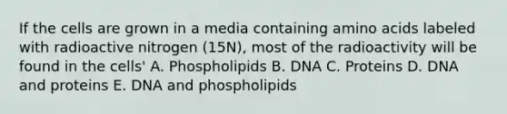 If the cells are grown in a media containing amino acids labeled with radioactive nitrogen (15N), most of the radioactivity will be found in the cells' A. Phospholipids B. DNA C. Proteins D. DNA and proteins E. DNA and phospholipids