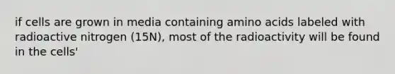 if cells are grown in media containing <a href='https://www.questionai.com/knowledge/k9gb720LCl-amino-acids' class='anchor-knowledge'>amino acids</a> labeled with radioactive nitrogen (15N), most of the radioactivity will be found in the cells'