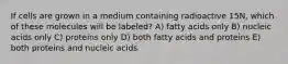 If cells are grown in a medium containing radioactive 15N, which of these molecules will be labeled? A) fatty acids only B) nucleic acids only C) proteins only D) both fatty acids and proteins E) both proteins and nucleic acids