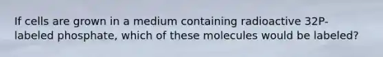 If cells are grown in a medium containing radioactive 32P- labeled phosphate, which of these molecules would be labeled?