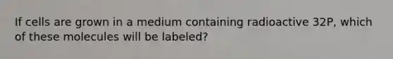 If cells are grown in a medium containing radioactive 32P, which of these molecules will be labeled?