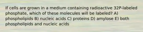 If cells are grown in a medium containing radioactive 32P-labeled phosphate, which of these molecules will be labeled? A) phospholipids B) nucleic acids C) proteins D) amylose E) both phospholipids and nucleic acids