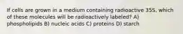 If cells are grown in a medium containing radioactive 35S, which of these molecules will be radioactively labeled? A) phospholipids B) nucleic acids C) proteins D) starch