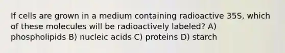 If cells are grown in a medium containing radioactive 35S, which of these molecules will be radioactively labeled? A) phospholipids B) nucleic acids C) proteins D) starch