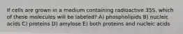 If cells are grown in a medium containing radioactive 35S, which of these molecules will be labeled? A) phospholipids B) nucleic acids C) proteins D) amylose E) both proteins and nucleic acids