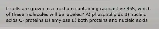 If cells are grown in a medium containing radioactive 35S, which of these molecules will be labeled? A) phospholipids B) nucleic acids C) proteins D) amylose E) both proteins and nucleic acids