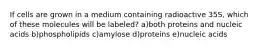 If cells are grown in a medium containing radioactive 35S, which of these molecules will be labeled? a)both proteins and nucleic acids b)phospholipids c)amylose d)proteins e)nucleic acids