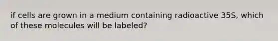 if cells are grown in a medium containing radioactive 35S, which of these molecules will be labeled?