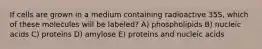 If cells are grown in a medium containing radioactive 35S, which of these molecules will be labeled? A) phospholipids B) nucleic acids C) proteins D) amylose E) proteins and nucleic acids