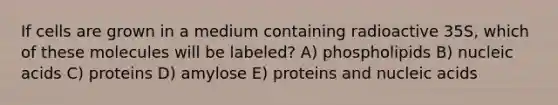 If cells are grown in a medium containing radioactive 35S, which of these molecules will be labeled? A) phospholipids B) nucleic acids C) proteins D) amylose E) proteins and nucleic acids