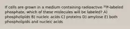 If cells are grown in a medium containing radioactive ³²P-labeled phosphate, which of these molecules will be labeled? A) phospholipids B) nucleic acids C) proteins D) amylose E) both phospholipids and nucleic acids