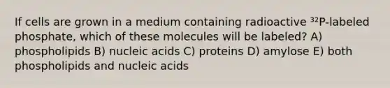 If cells are grown in a medium containing radioactive ³²P-labeled phosphate, which of these molecules will be labeled? A) phospholipids B) nucleic acids C) proteins D) amylose E) both phospholipids and nucleic acids