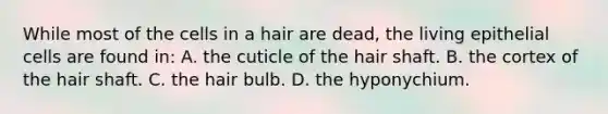 While most of the cells in a hair are dead, the living epithelial cells are found in: A. the cuticle of the hair shaft. B. the cortex of the hair shaft. C. the hair bulb. D. the hyponychium.