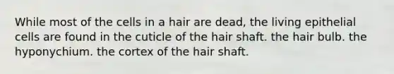 While most of the cells in a hair are dead, the living epithelial cells are found in the cuticle of the hair shaft. the hair bulb. the hyponychium. the cortex of the hair shaft.