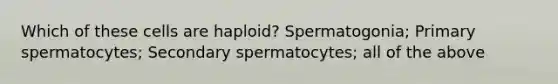 Which of these cells are haploid? Spermatogonia; Primary spermatocytes; Secondary spermatocytes; all of the above