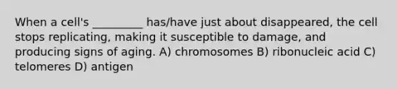 When a cell's _________ has/have just about disappeared, the cell stops replicating, making it susceptible to damage, and producing signs of aging. A) chromosomes B) ribonucleic acid C) telomeres D) antigen