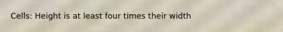 Cells: Height is at least four times their width