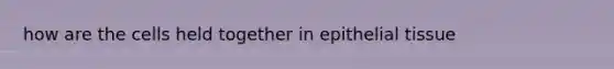 how are the cells held together in <a href='https://www.questionai.com/knowledge/k7dms5lrVY-epithelial-tissue' class='anchor-knowledge'>epithelial tissue</a>