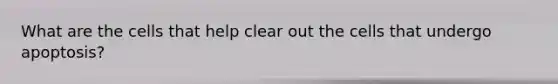 What are the cells that help clear out the cells that undergo apoptosis?
