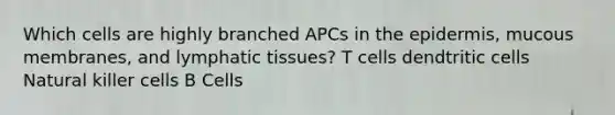 Which cells are highly branched APCs in the epidermis, mucous membranes, and lymphatic tissues? T cells dendtritic cells Natural killer cells B Cells