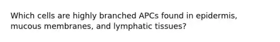 Which cells are highly branched APCs found in epidermis, mucous membranes, and lymphatic tissues?