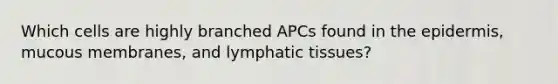 Which cells are highly branched APCs found in the epidermis, mucous membranes, and lymphatic tissues?