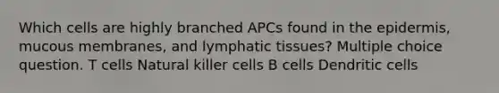 Which cells are highly branched APCs found in <a href='https://www.questionai.com/knowledge/kBFgQMpq6s-the-epidermis' class='anchor-knowledge'>the epidermis</a>, mucous membranes, and lymphatic tissues? Multiple choice question. T cells Natural killer cells B cells Dendritic cells