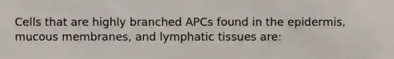 Cells that are highly branched APCs found in the epidermis, mucous membranes, and lymphatic tissues are: