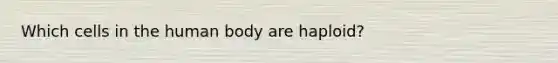 Which cells in the human body are haploid?