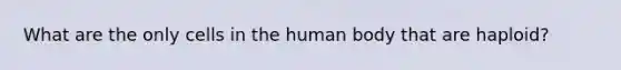 What are the only cells in the human body that are haploid?