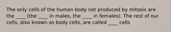 The only cells of the human body not produced by mitosis are the ____ (the ____ in males, the ____ in females). The rest of our cells, also known as body cells, are called ____ cells