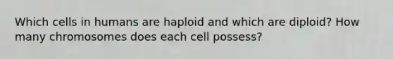 Which cells in humans are haploid and which are diploid? How many chromosomes does each cell possess?