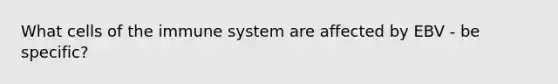 What cells of the immune system are affected by EBV - be specific?