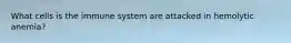What cells is the immune system are attacked in hemolytic anemia?