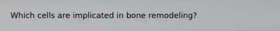 Which cells are implicated in bone remodeling?