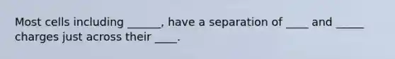 Most cells including ______, have a separation of ____ and _____ charges just across their ____.