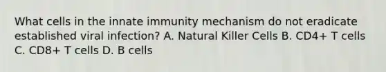 What cells in the innate immunity mechanism do not eradicate established viral infection? A. Natural Killer Cells B. CD4+ T cells C. CD8+ T cells D. B cells