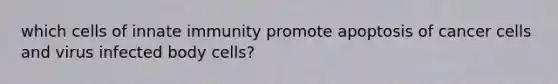 which cells of innate immunity promote apoptosis of cancer cells and virus infected body cells?