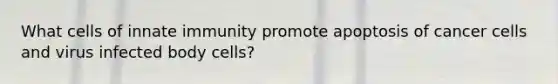 What cells of innate immunity promote apoptosis of cancer cells and virus infected body cells?