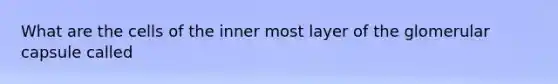 What are the cells of the inner most layer of the glomerular capsule called