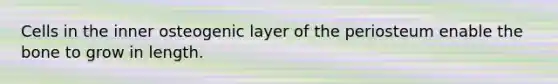 Cells in the inner osteogenic layer of the periosteum enable the bone to grow in length.