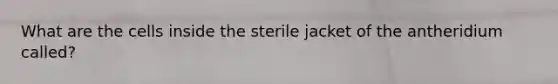 What are the cells inside the sterile jacket of the antheridium called?