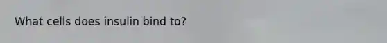 What cells does insulin bind to?